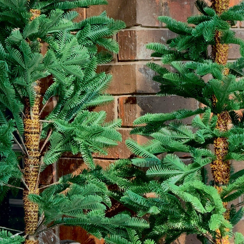 ARBOL ALPINE