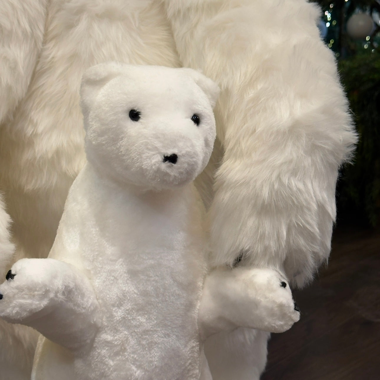 OSOS POLAR FAMILIA