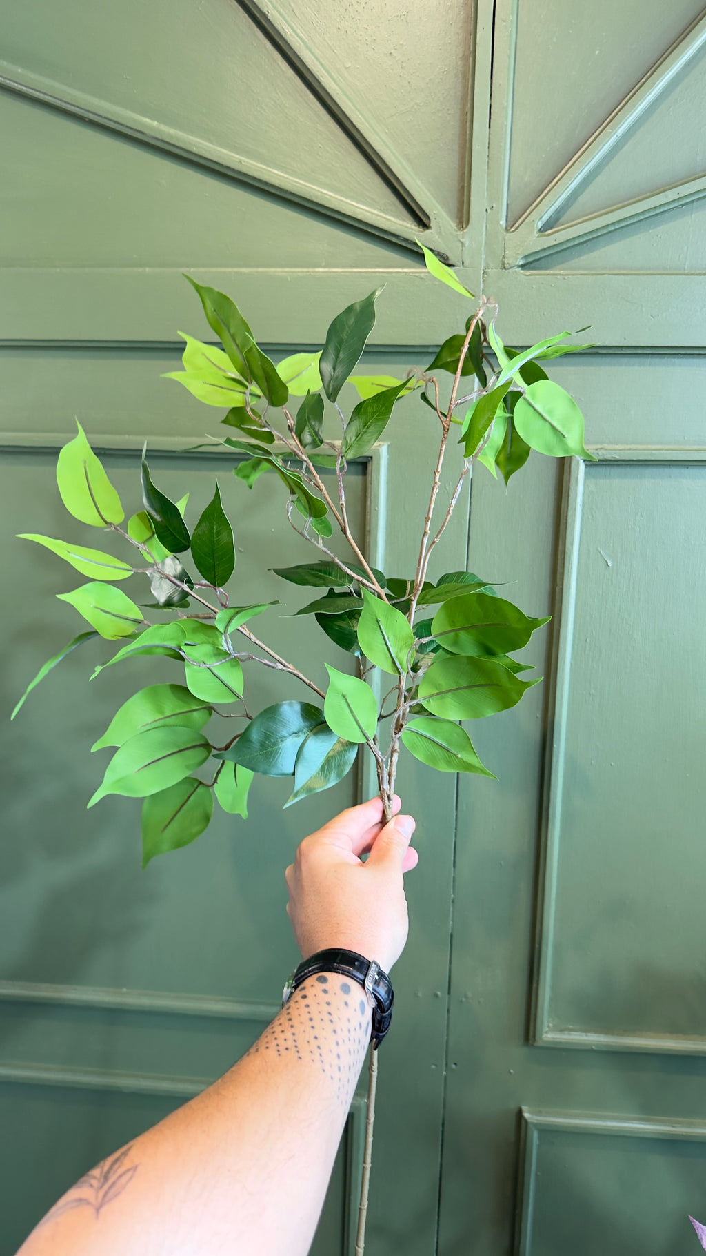 Vara de Hoja verde.