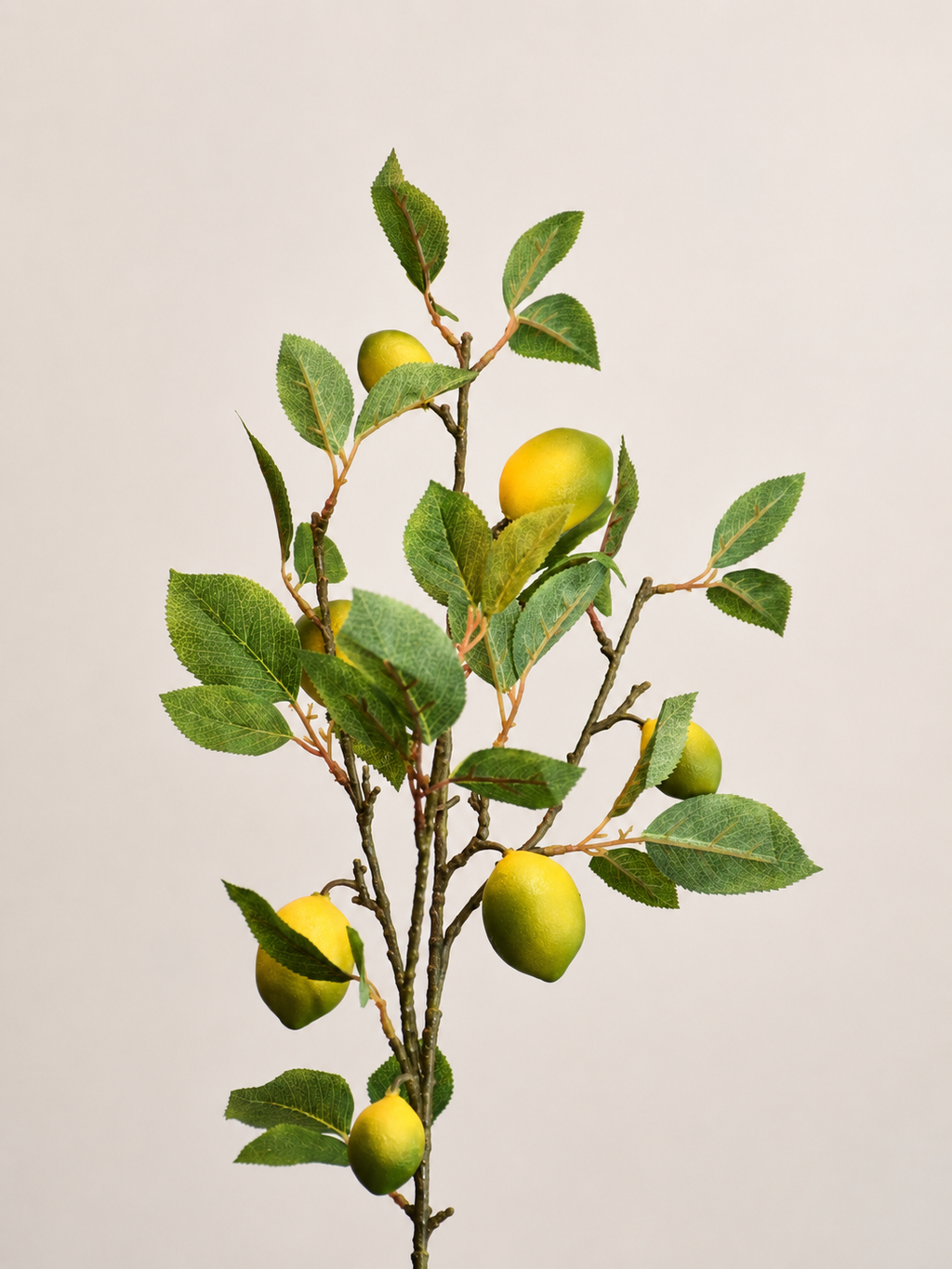 VARA DE LIMON AMARILLO