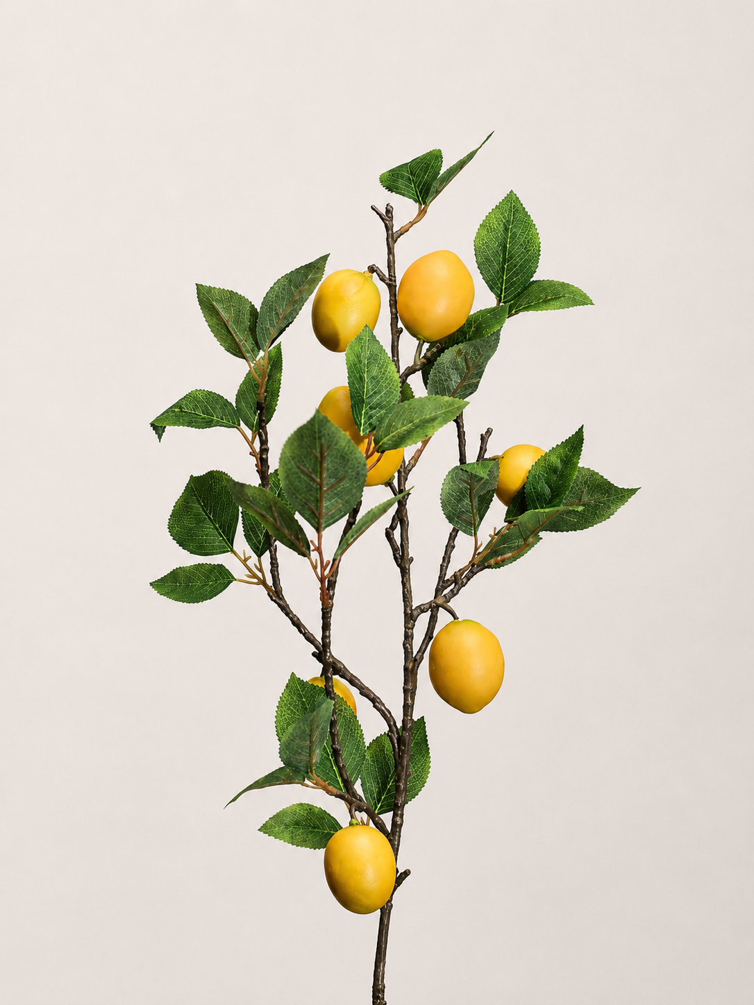 VARA DE LIMON AMARILLO