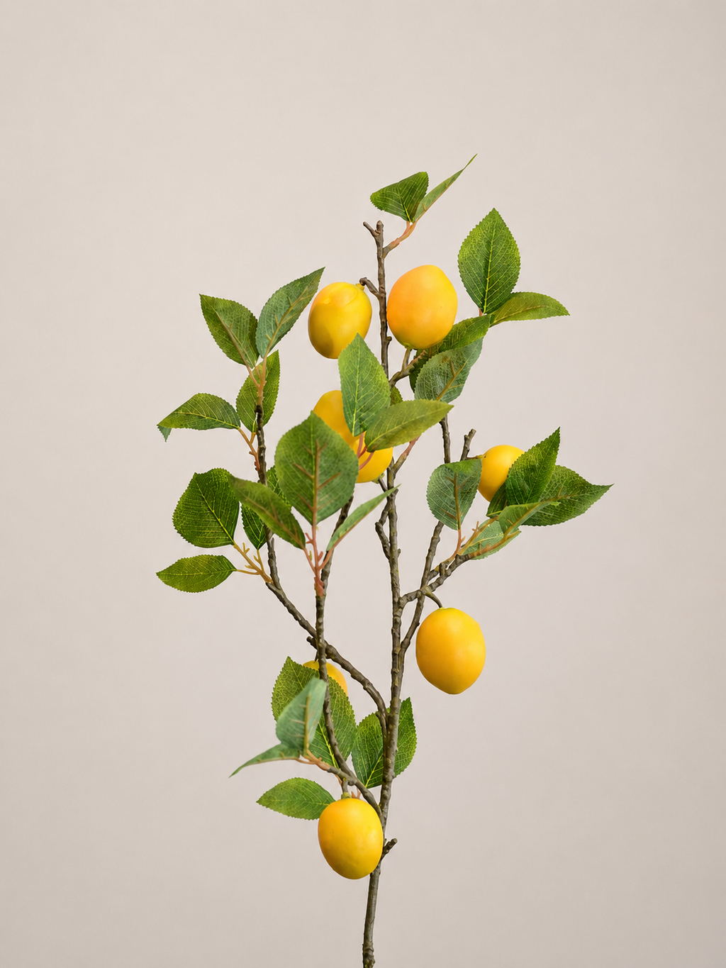VARA DE LIMON AMARILLO