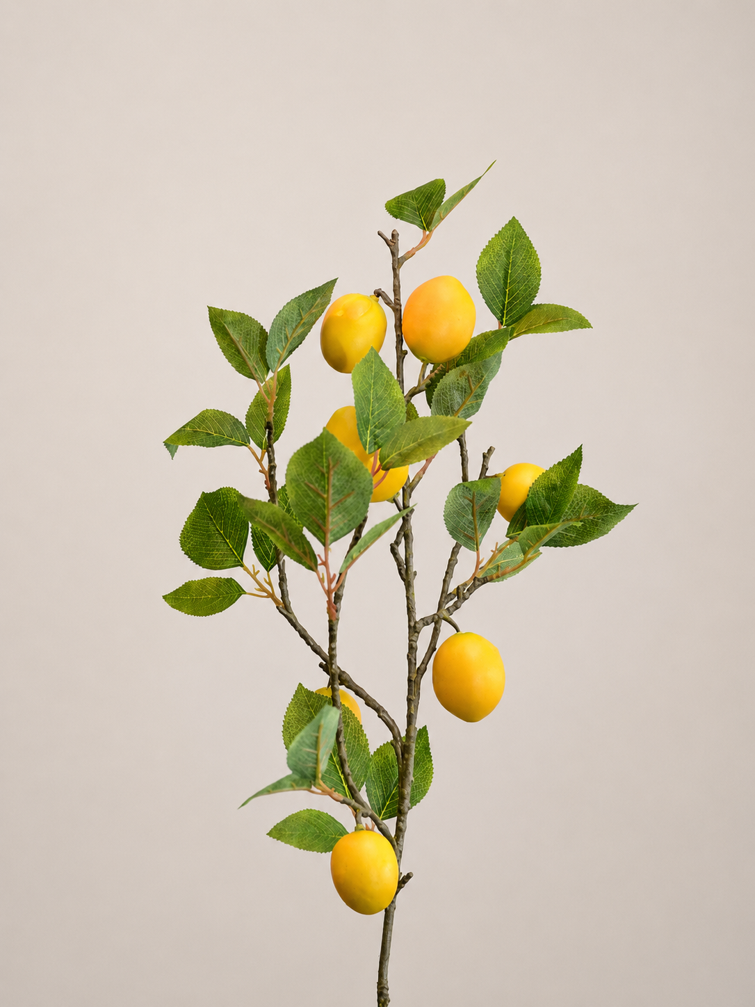 VARA DE LIMON AMARILLO