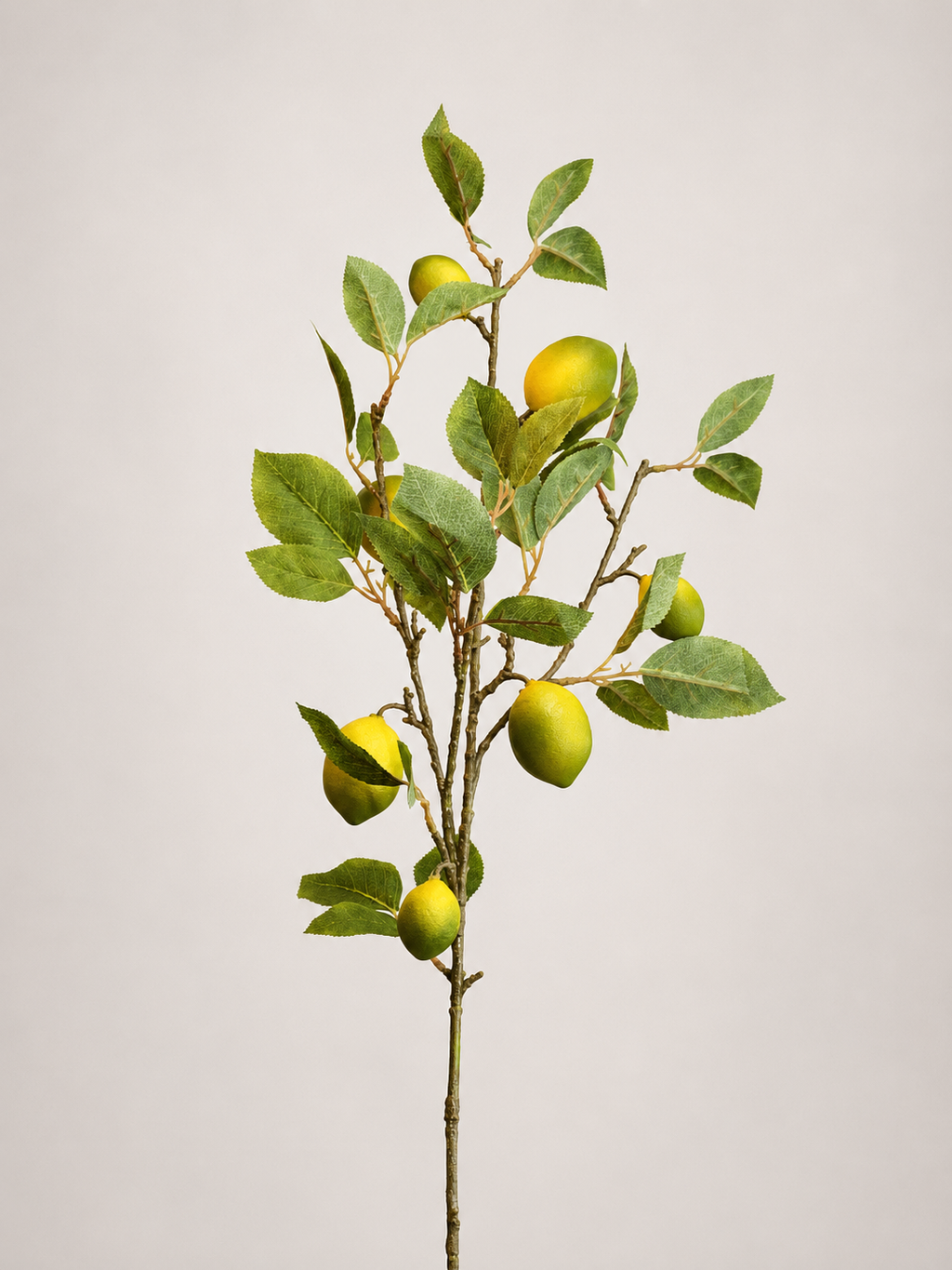 VARA DE LIMON AMARILLO