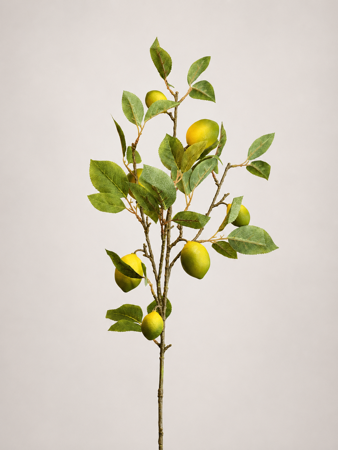 VARA DE LIMON AMARILLO