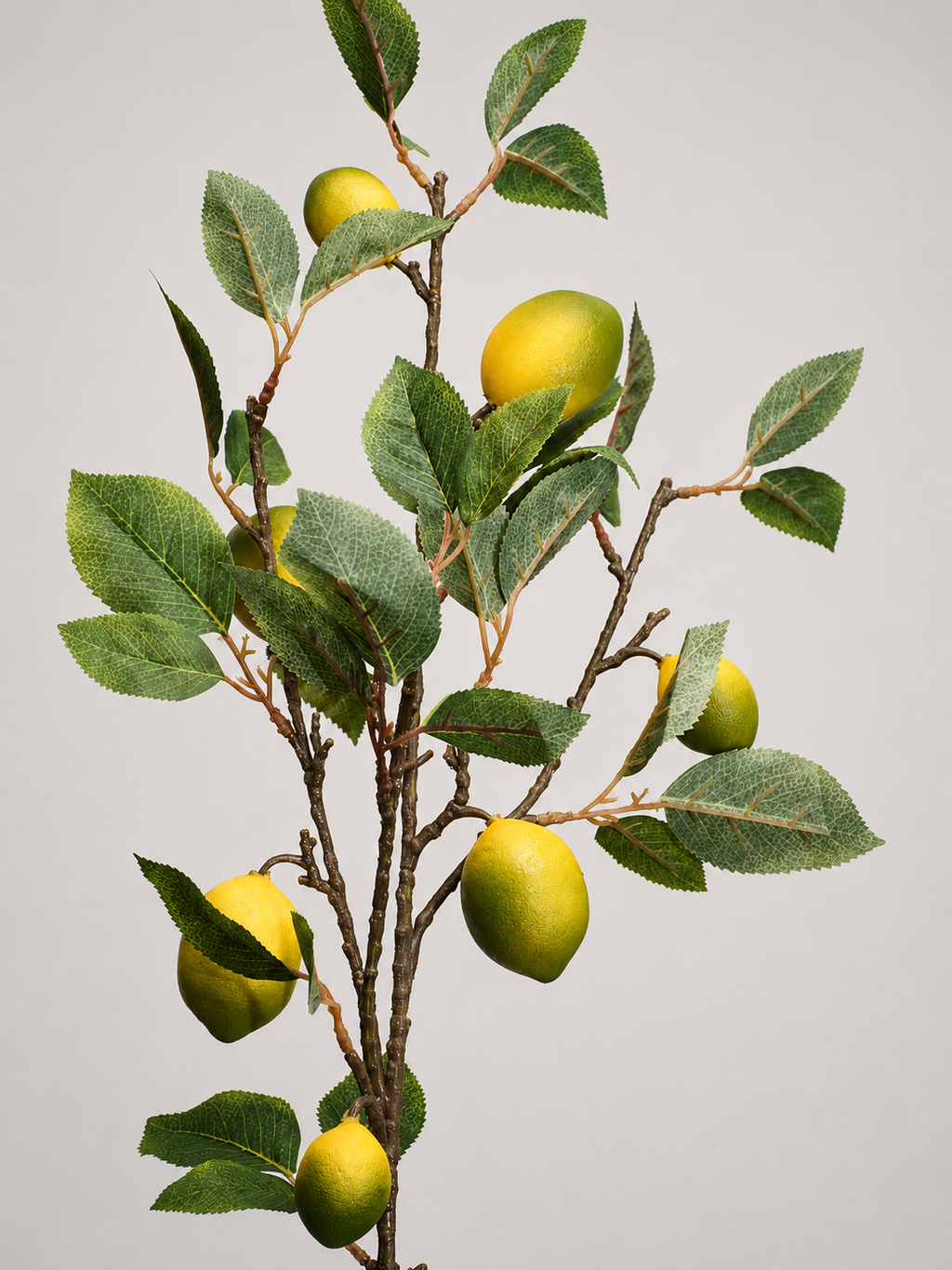 VARA DE LIMON AMARILLO