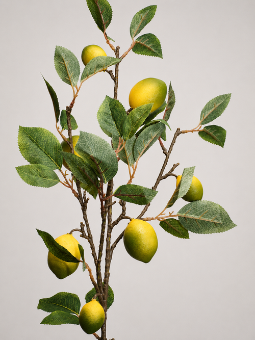VARA DE LIMON VERDE