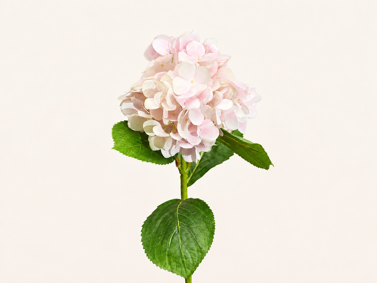 VARA DE HORTENSIA ROSA