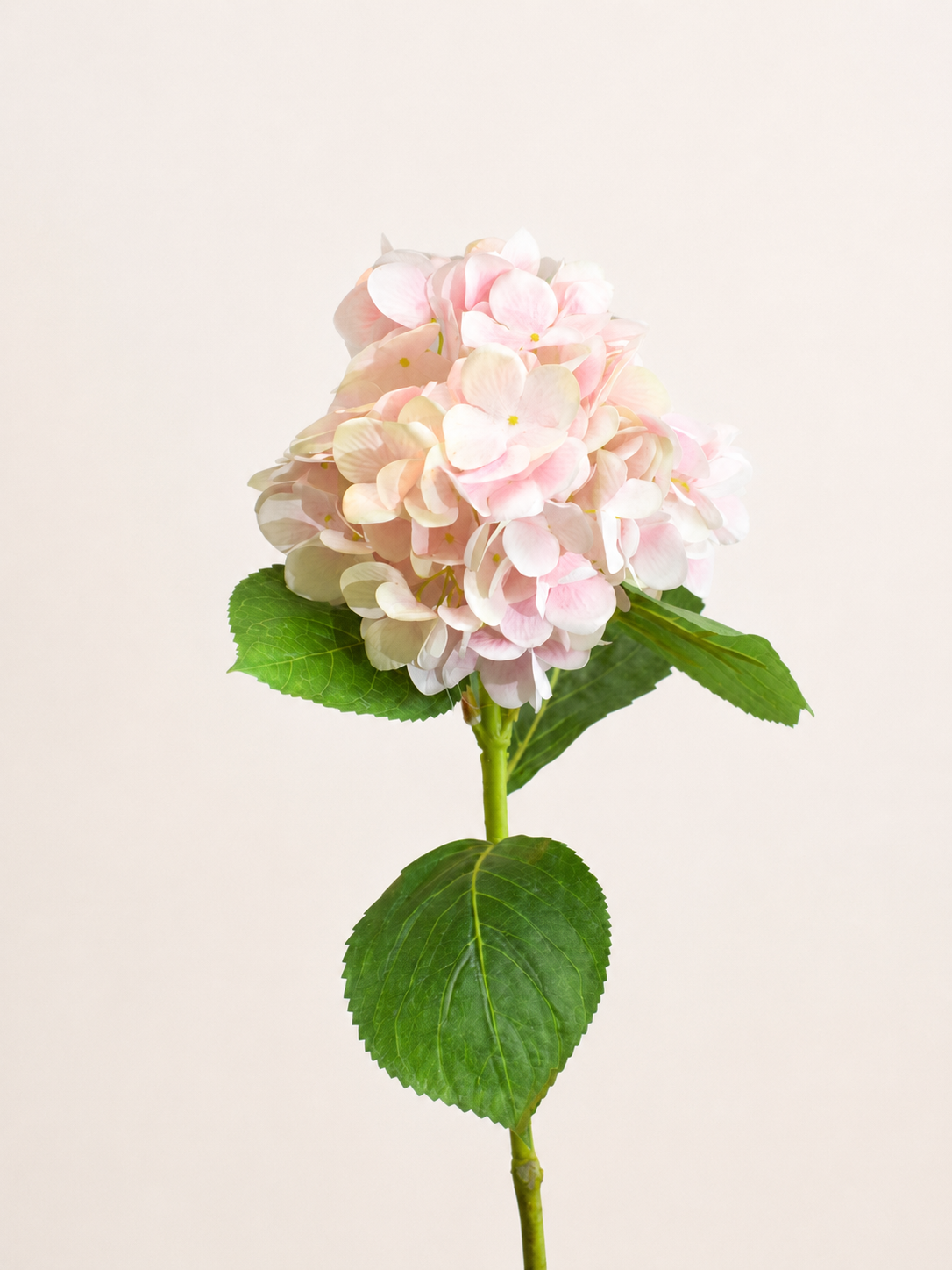 VARA DE HORTENSIA ROSA