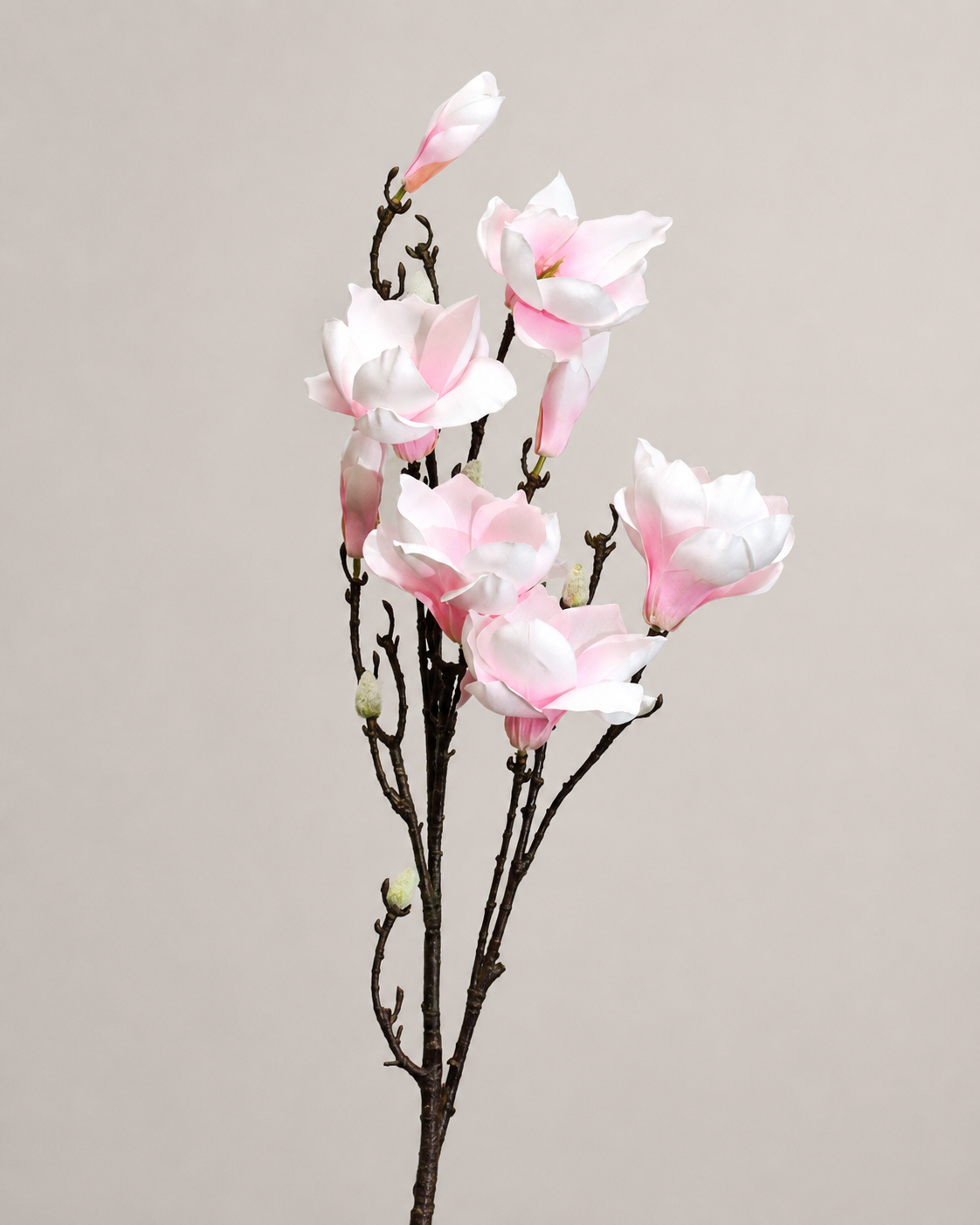 VARA DE MAGNOLIA CREMA/ROSA