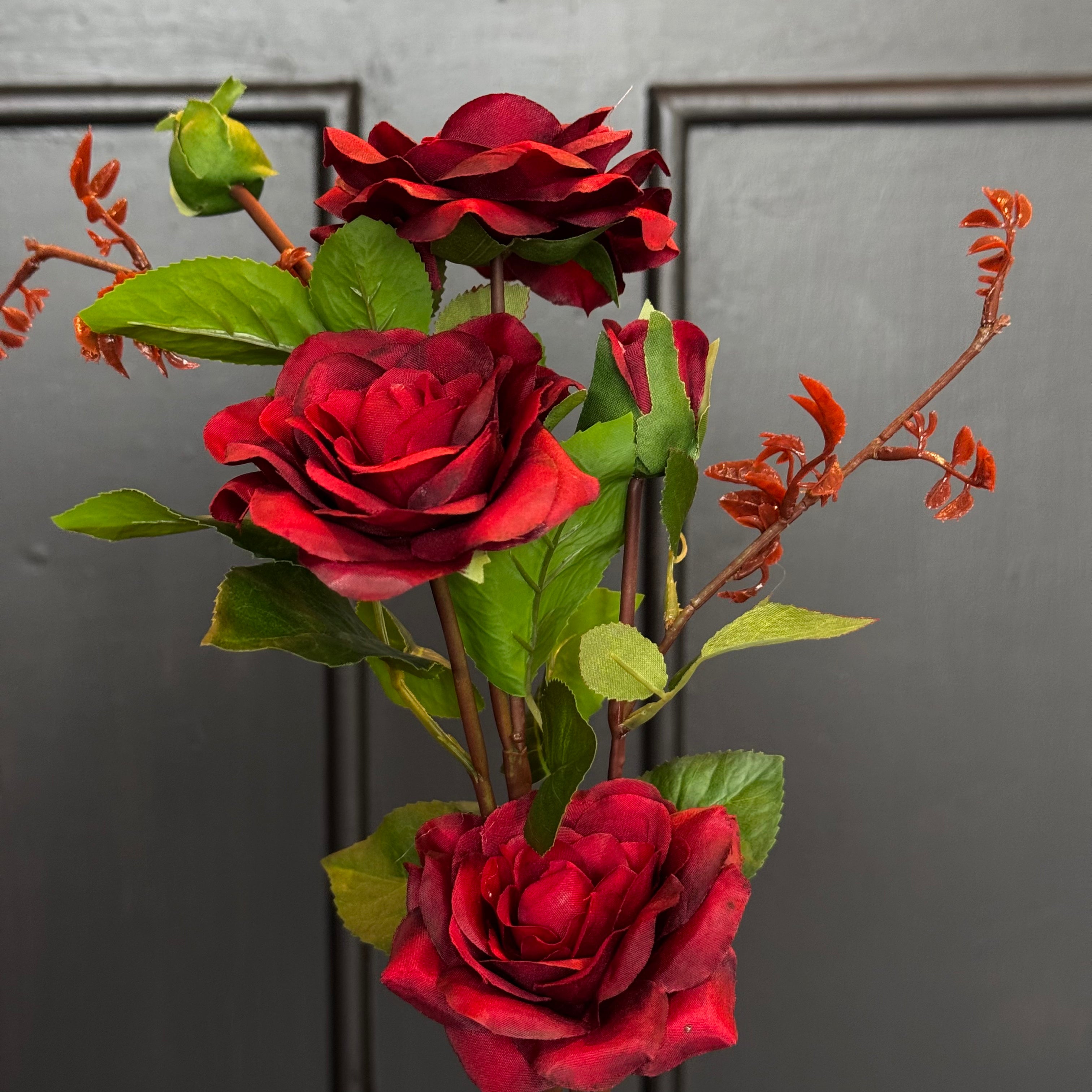 VARA DE ROSA DK. ROJO