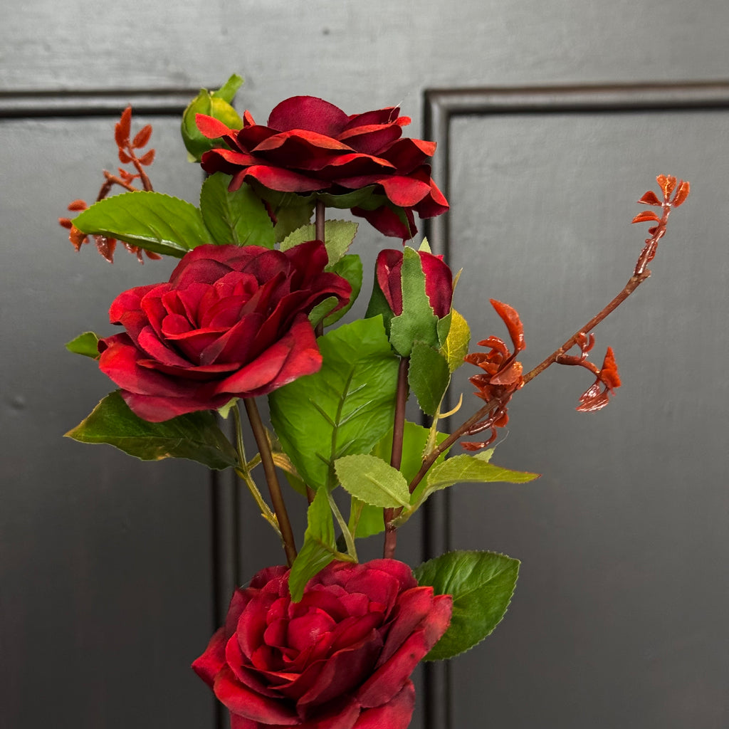 VARA DE ROSA DK. ROJO