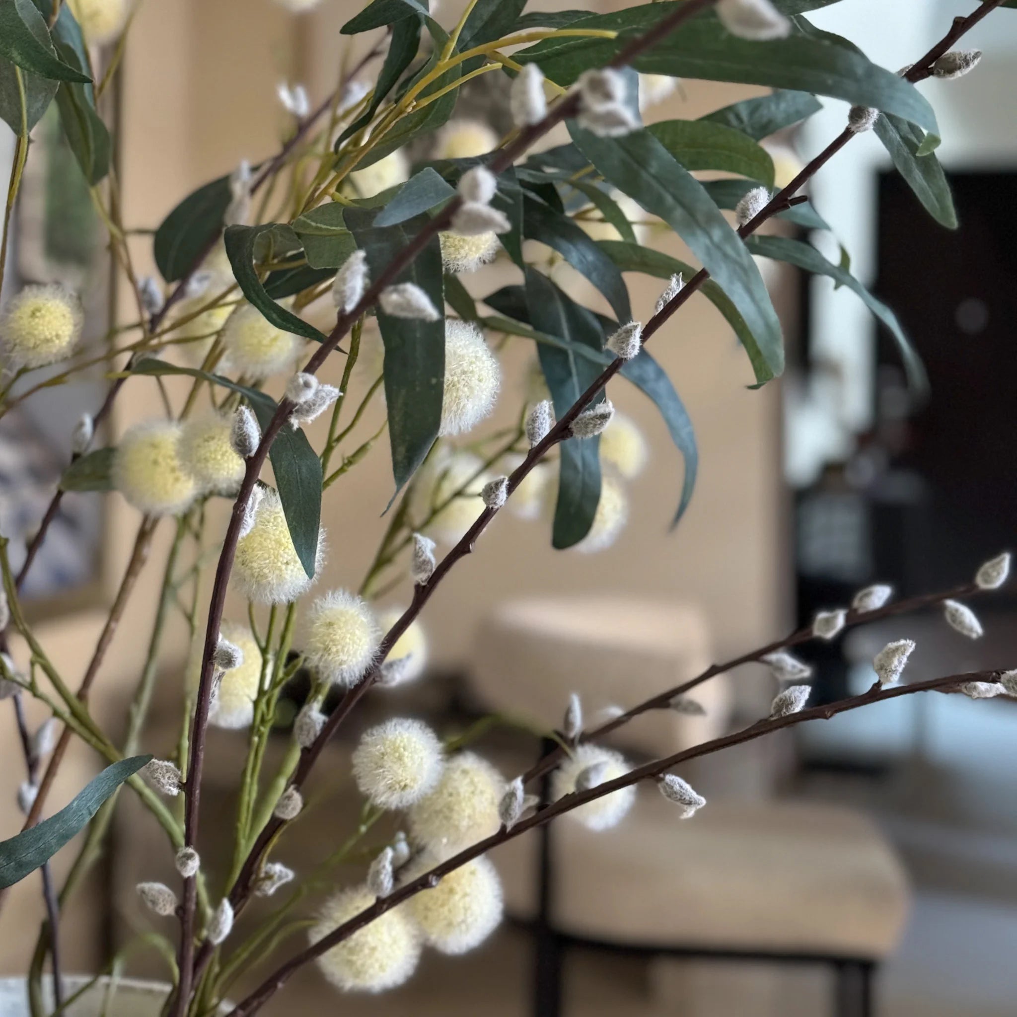 VARA UÑA DE GATO