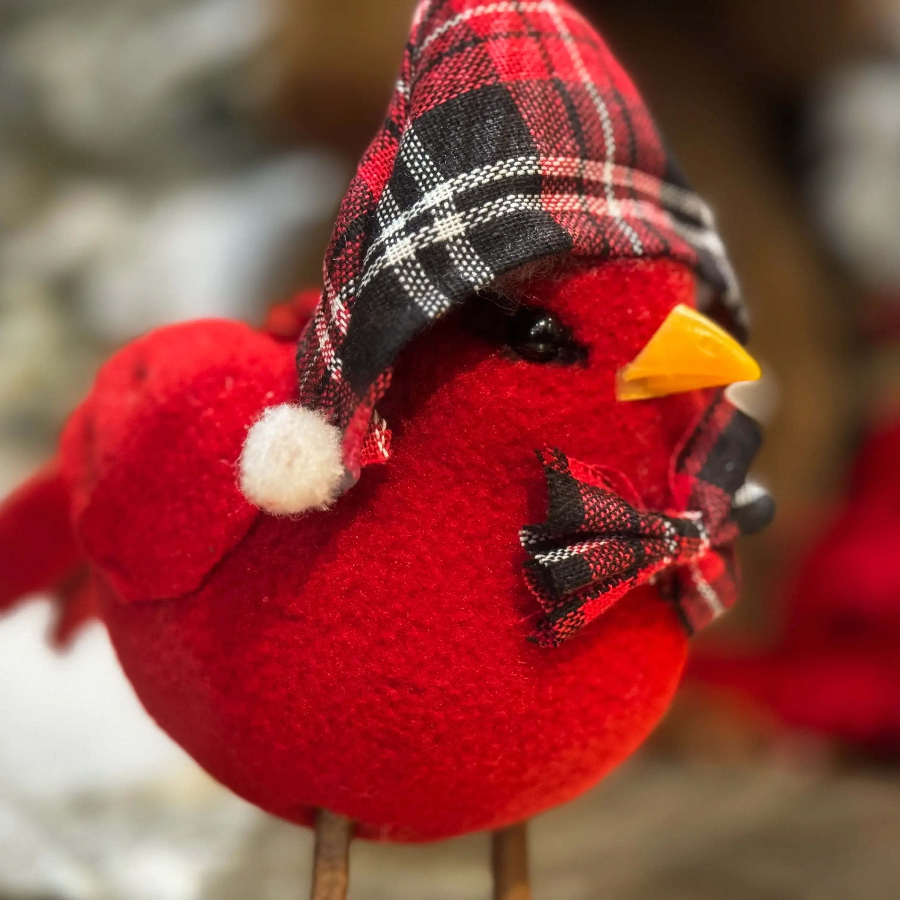 CANARIO ROJO