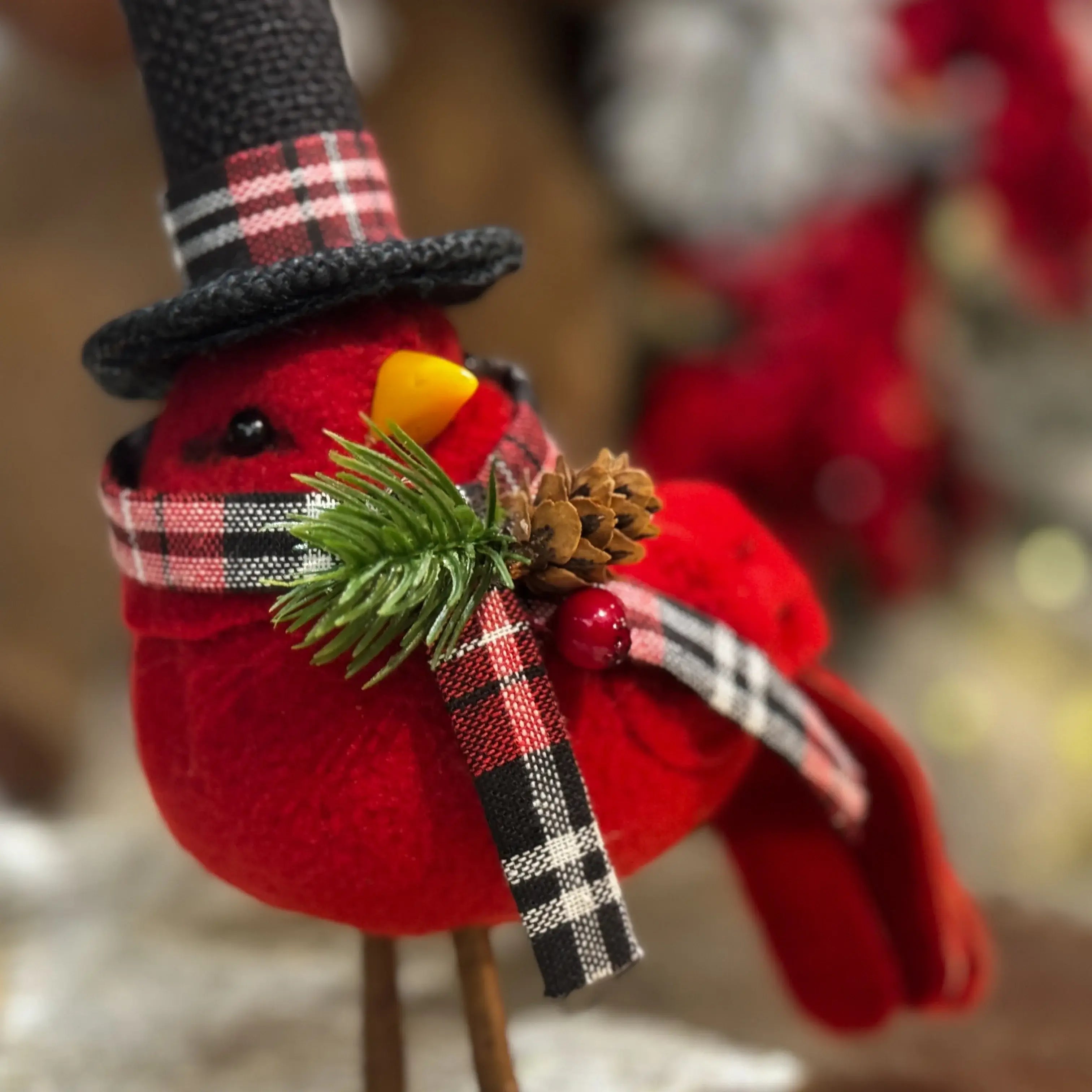 CANARIO ROJO