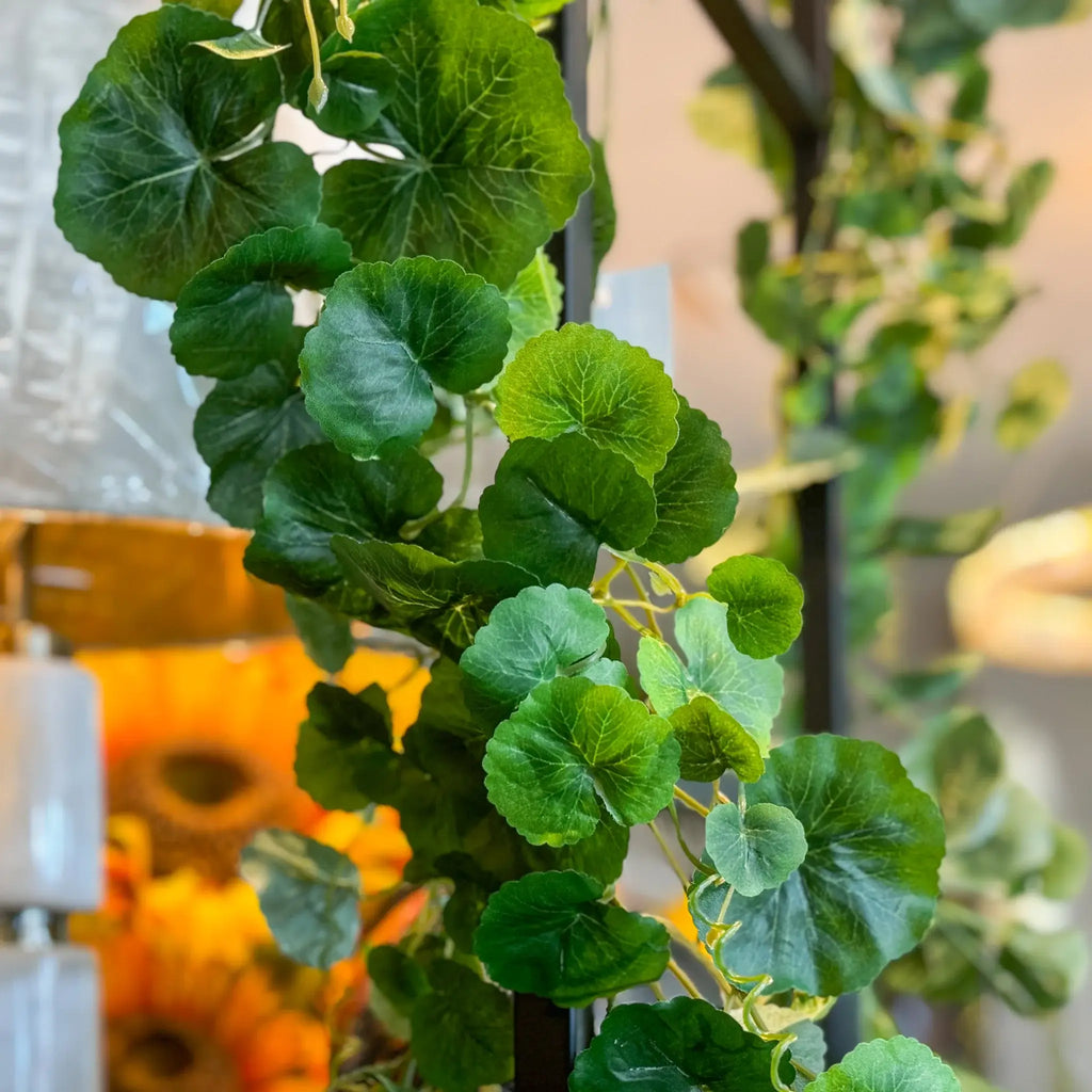 GUIA DE HOJA DE GERANIO VERDE