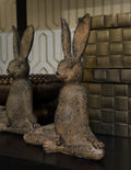 CONEJO ASANA