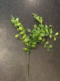 FOLLAJE VERDE