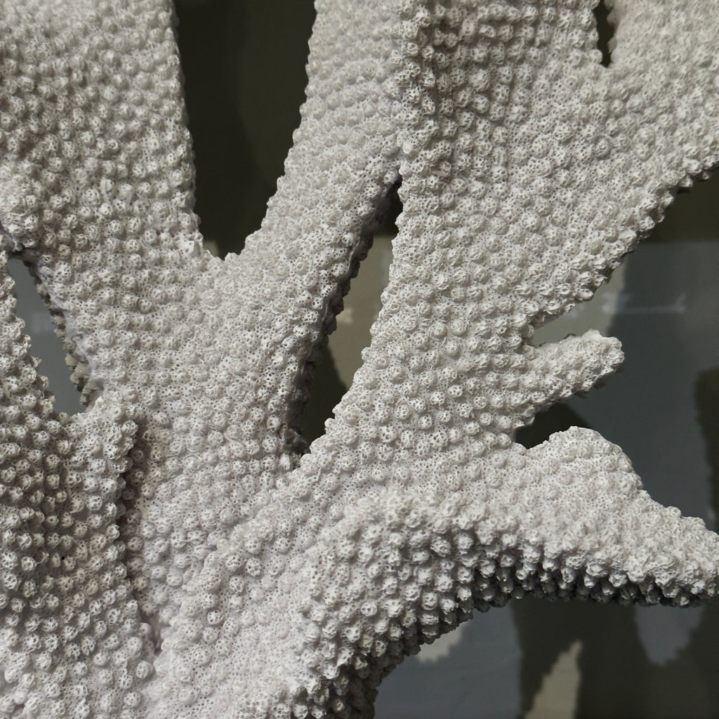 ESCULTURA DECORATIVA CORAL BLANCO