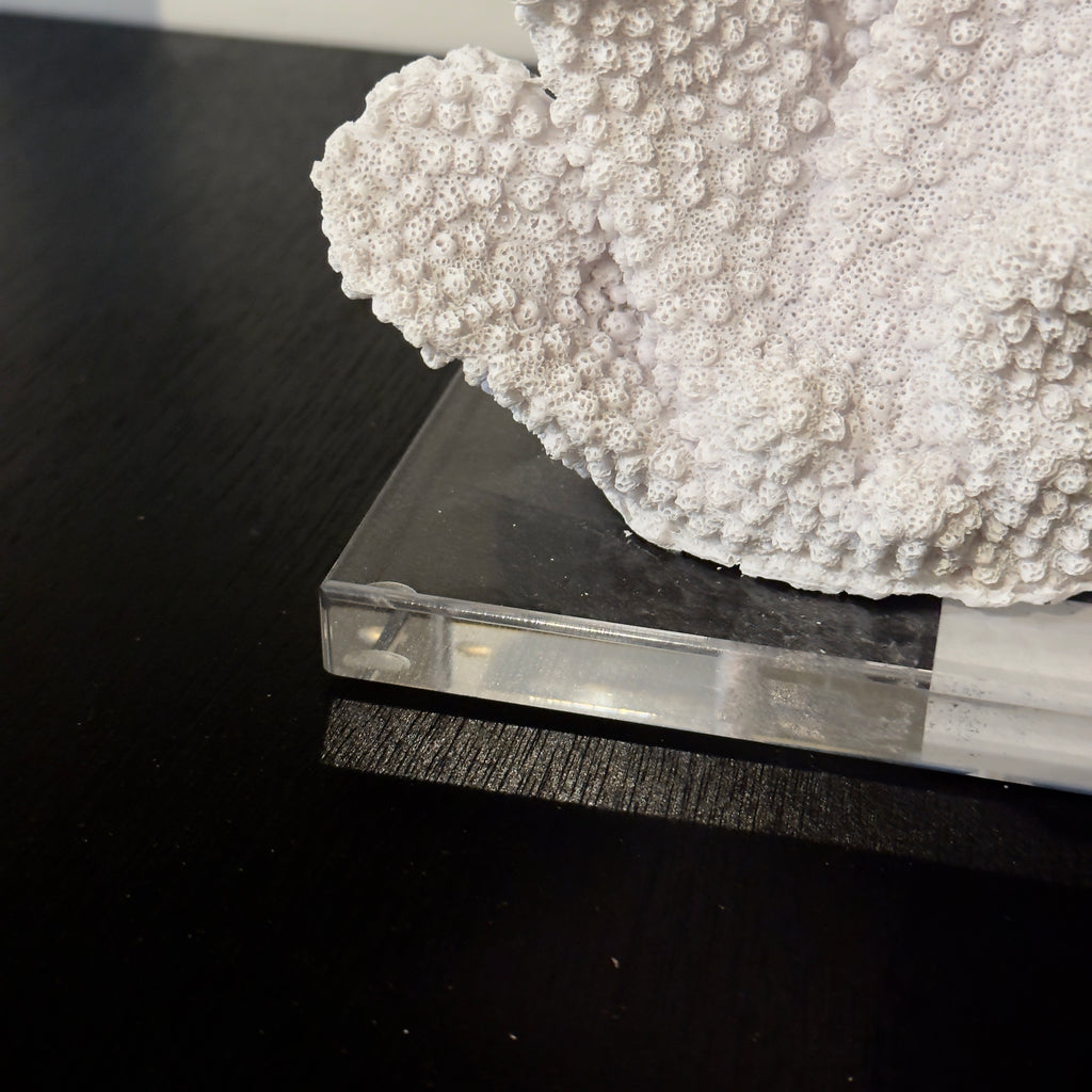 ESCULTURA DECORATIVA CORAL BLANCO