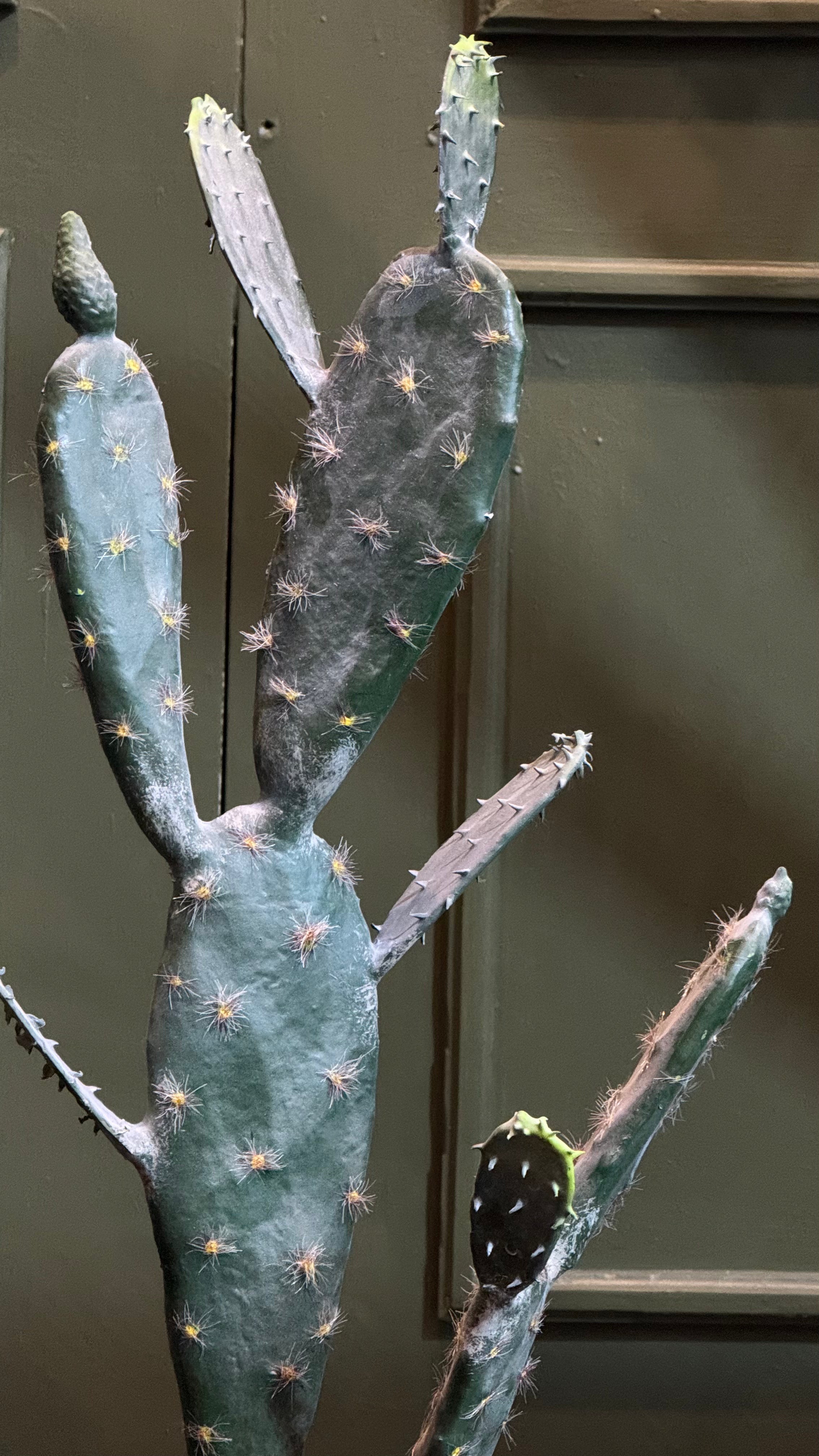 CACTUS 90