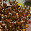 PICK DE BELLOTAS NATURAL