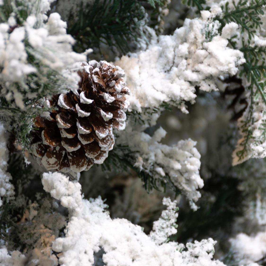 ARBOL NORD NEVADO