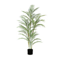 PALMA ARECA A160