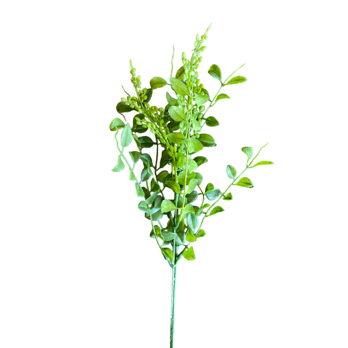 FOLLAJE VERDE