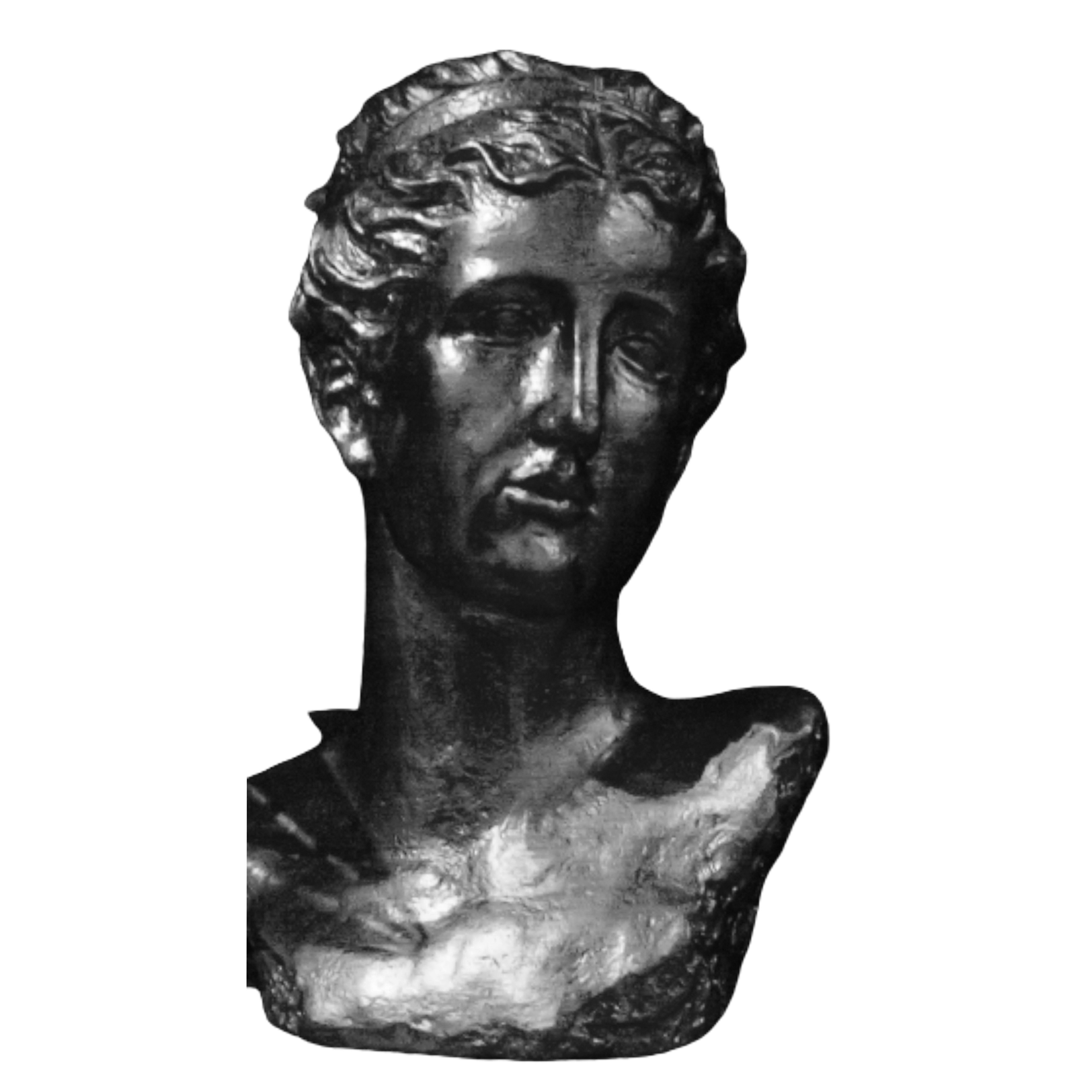 MACETA VENUS