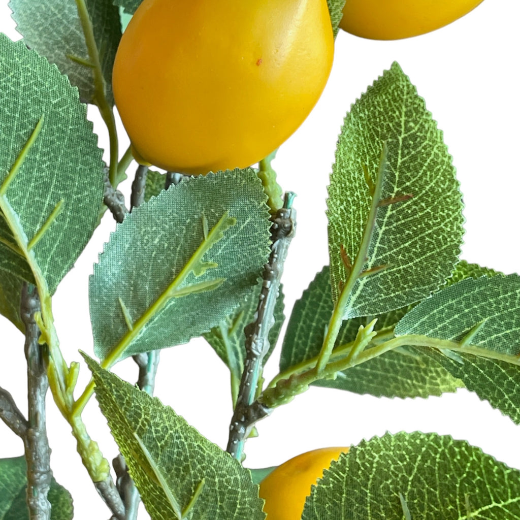 VARA DE LIMON AMARILLO