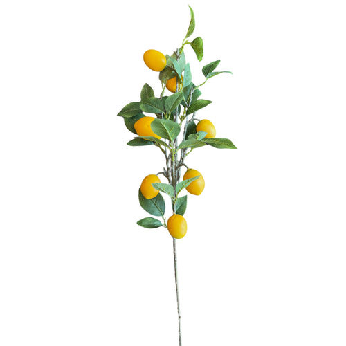 VARA DE LIMON AMARILLO