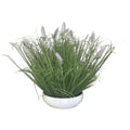 Maceta de Lavanda