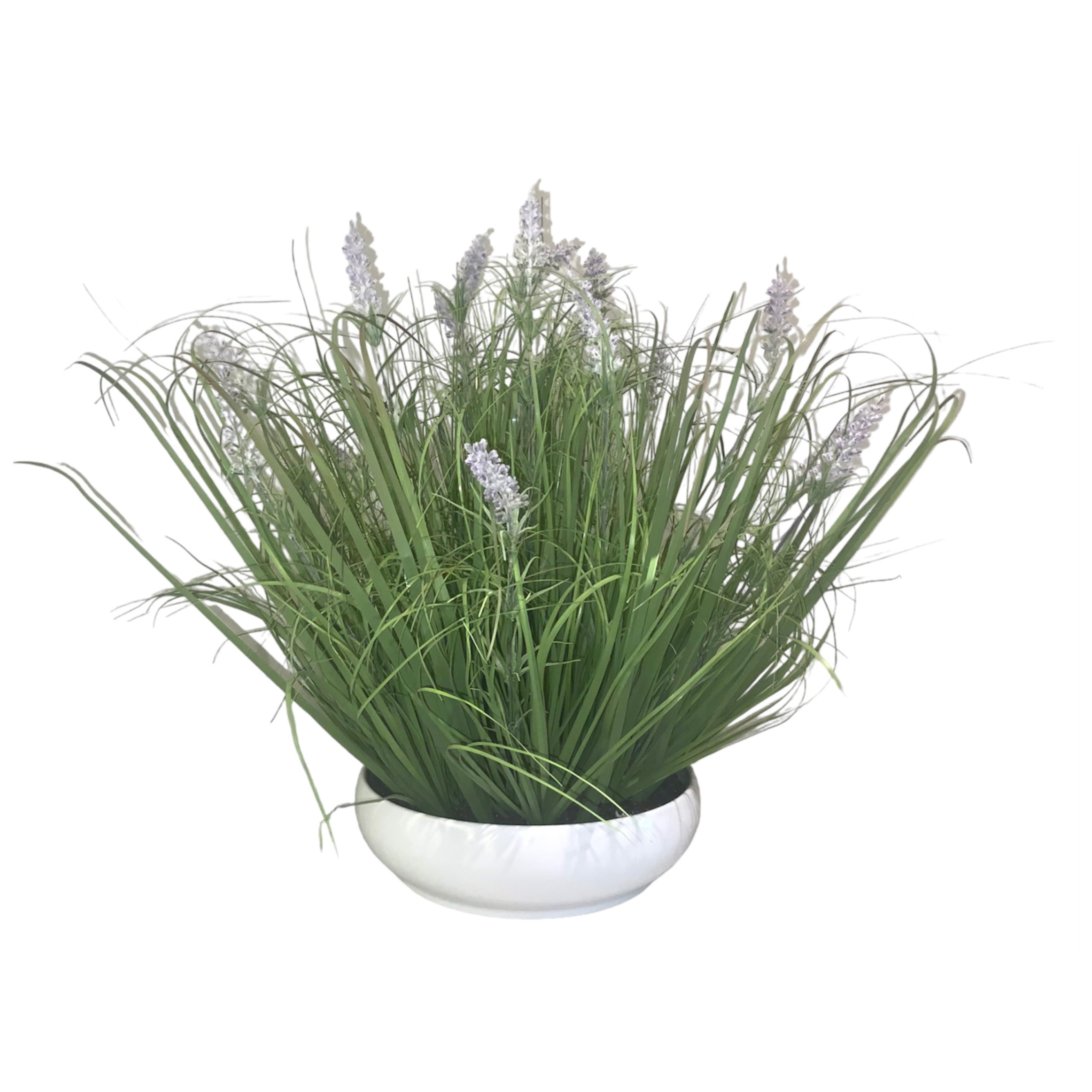 Maceta de Lavanda