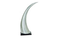 Escultura Cuerno En Aluminio
