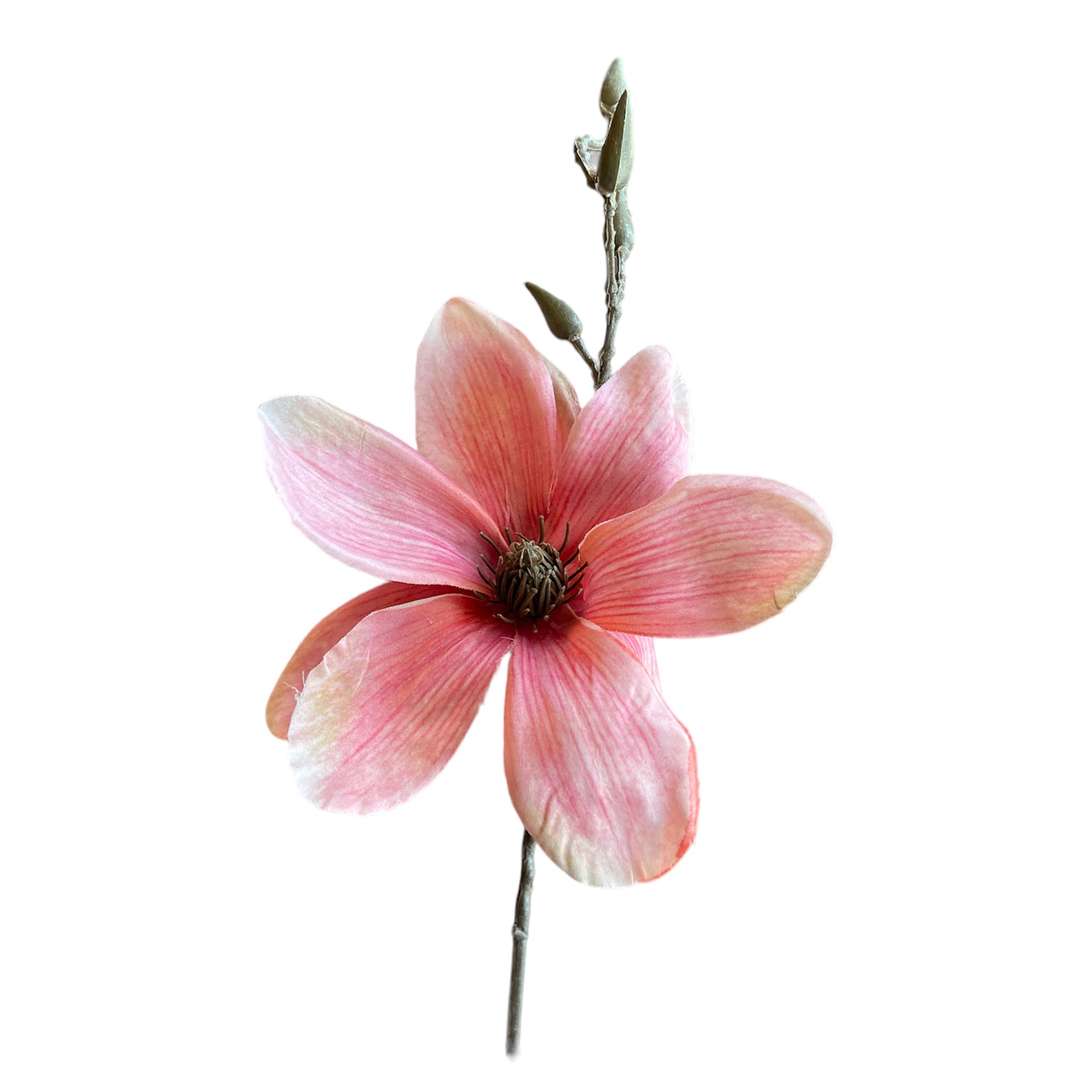 VARA DE MAGNOLIA LT. ROSA