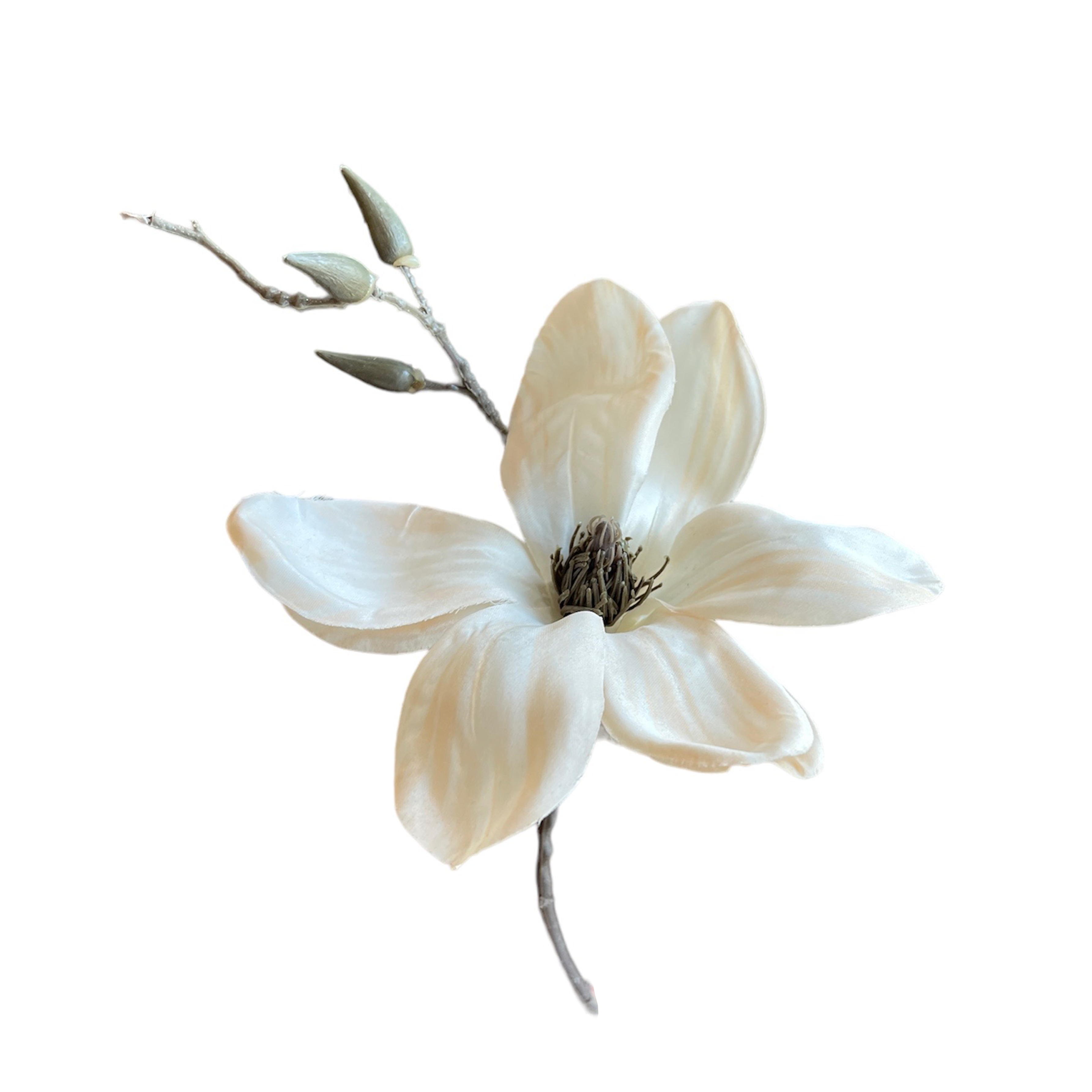 VARA DE MAGNOLIA LT. CREMA