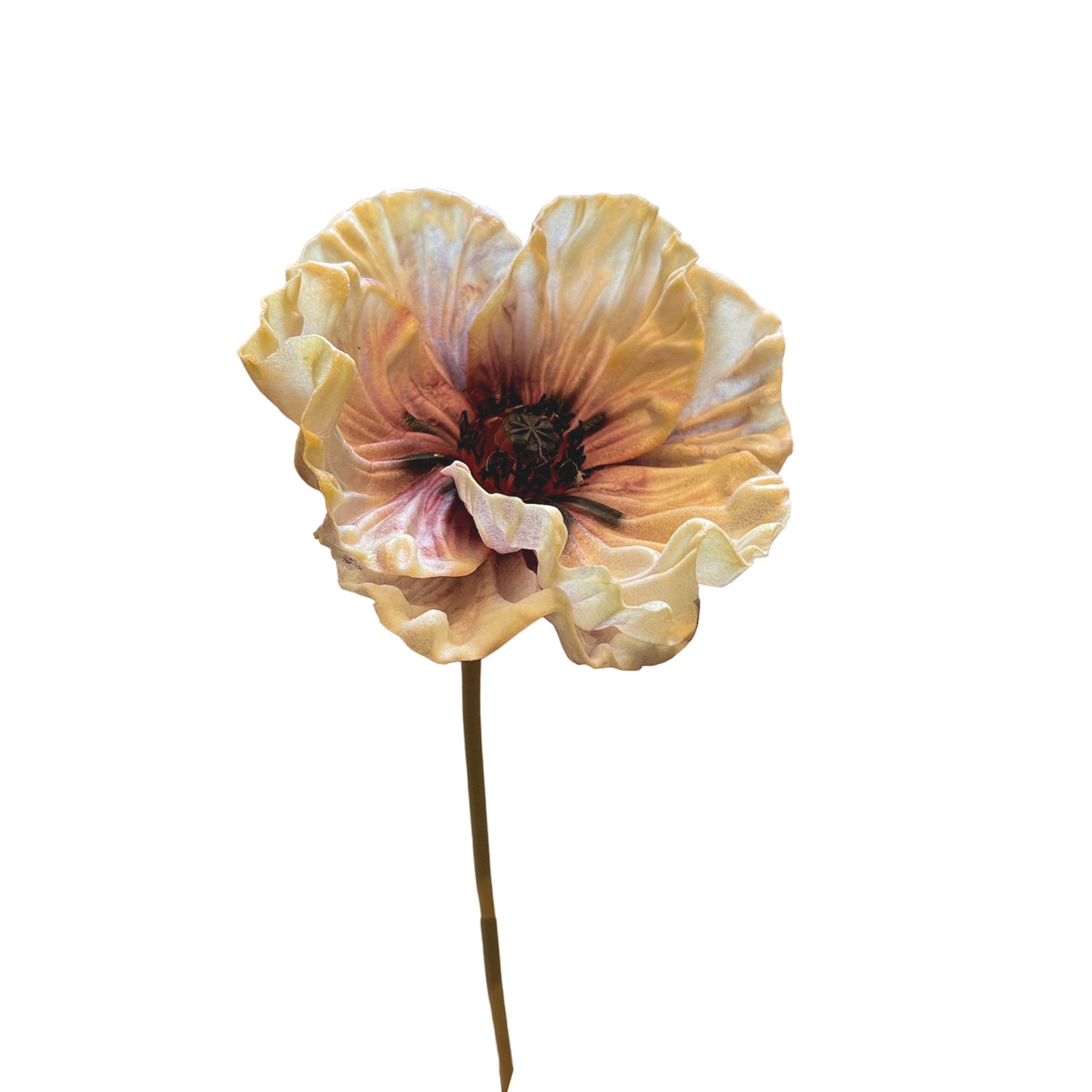 Vara de poppy Morado/Crema