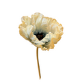 Vara de Poppy Azul/Crema