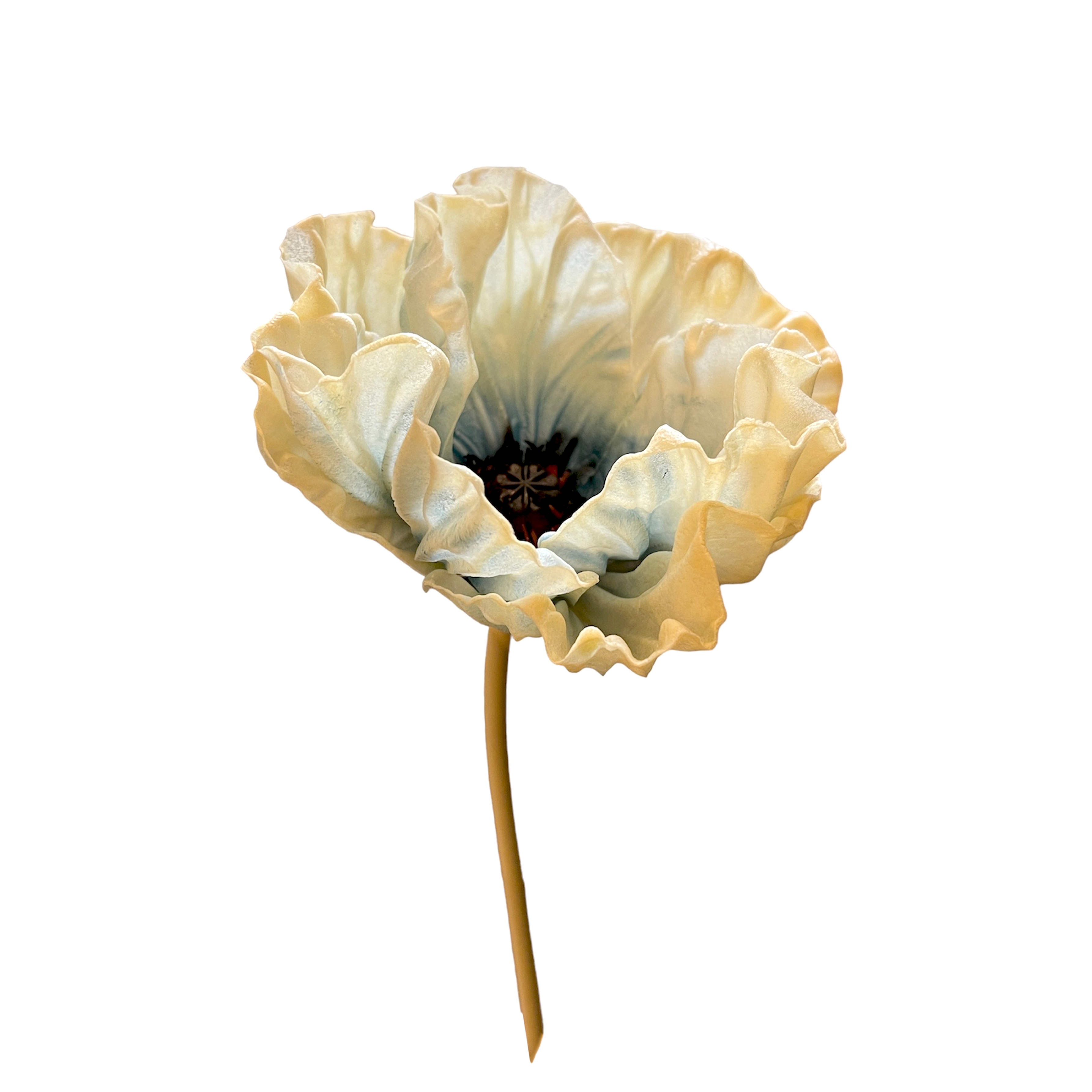 Vara de Poppy Azul/Crema