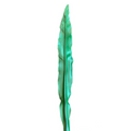 HOJA Asplenium Nidus 44.5" KA32204 VERDE