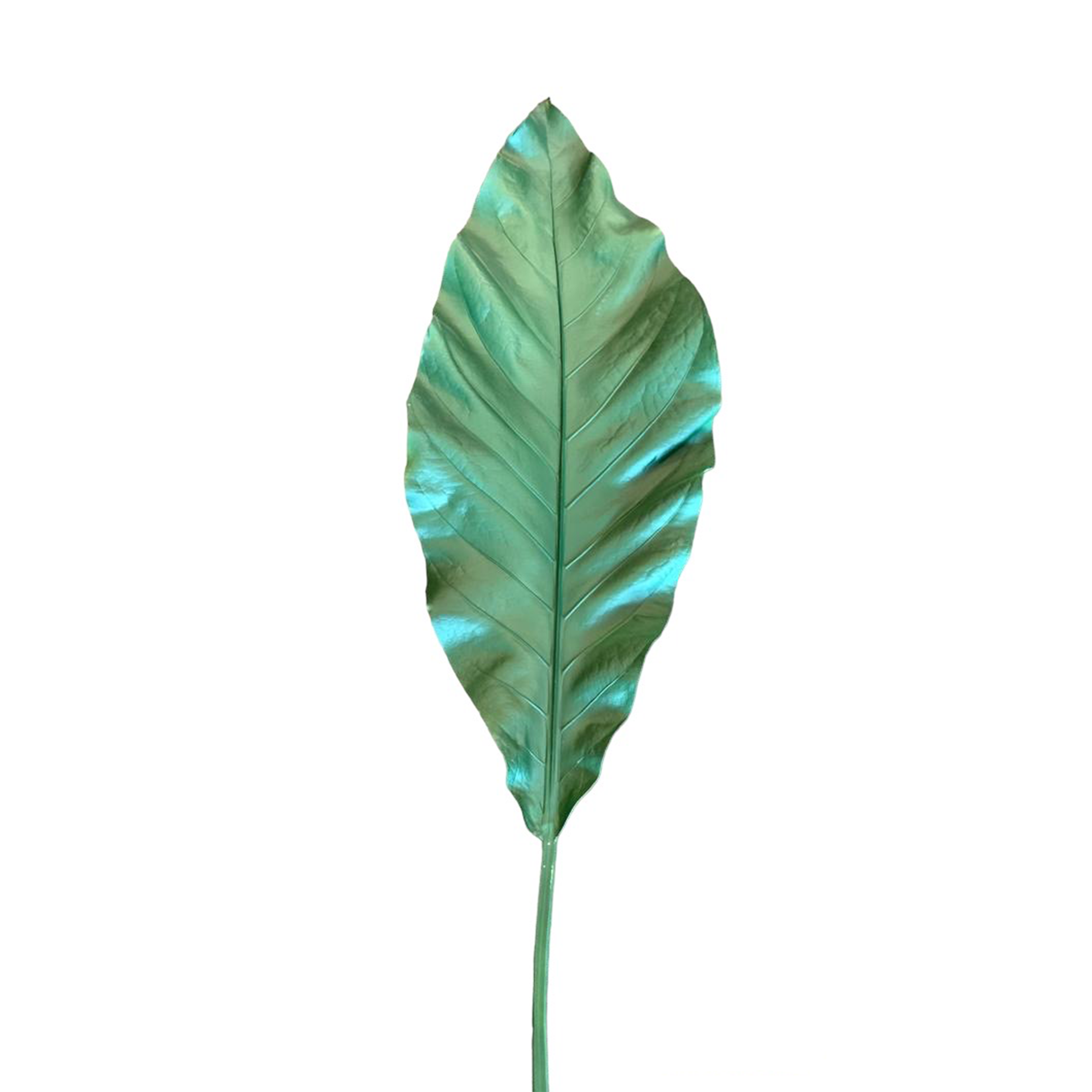 HOJA DE AVE DE PARAISO  53" KA32219 VERD