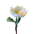 VARA DE MAGNOLIA F. BLANCA