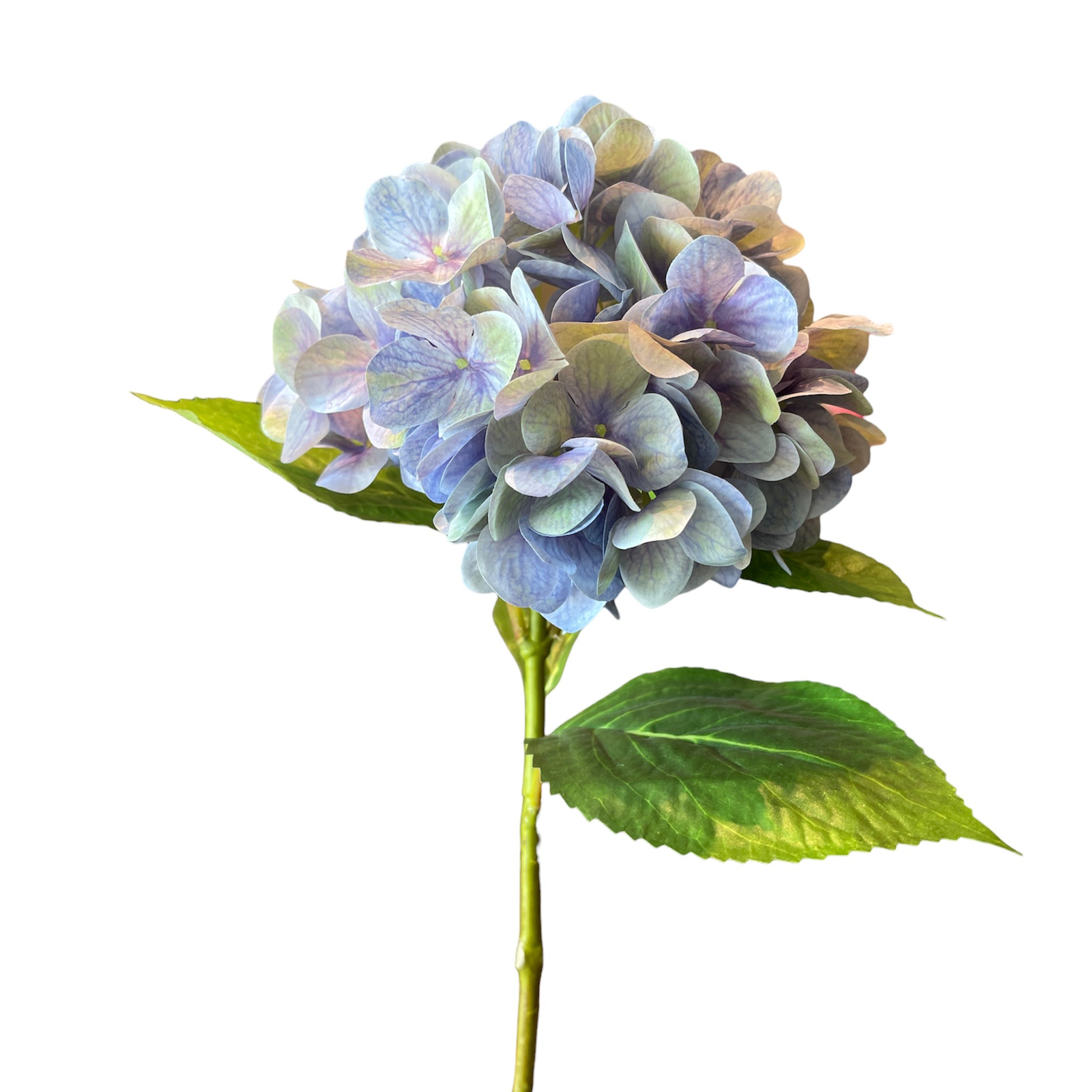 VARA DE HORTENSIA VDE LAVANDA