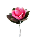 VARA DE MAGNOLIA ROSA