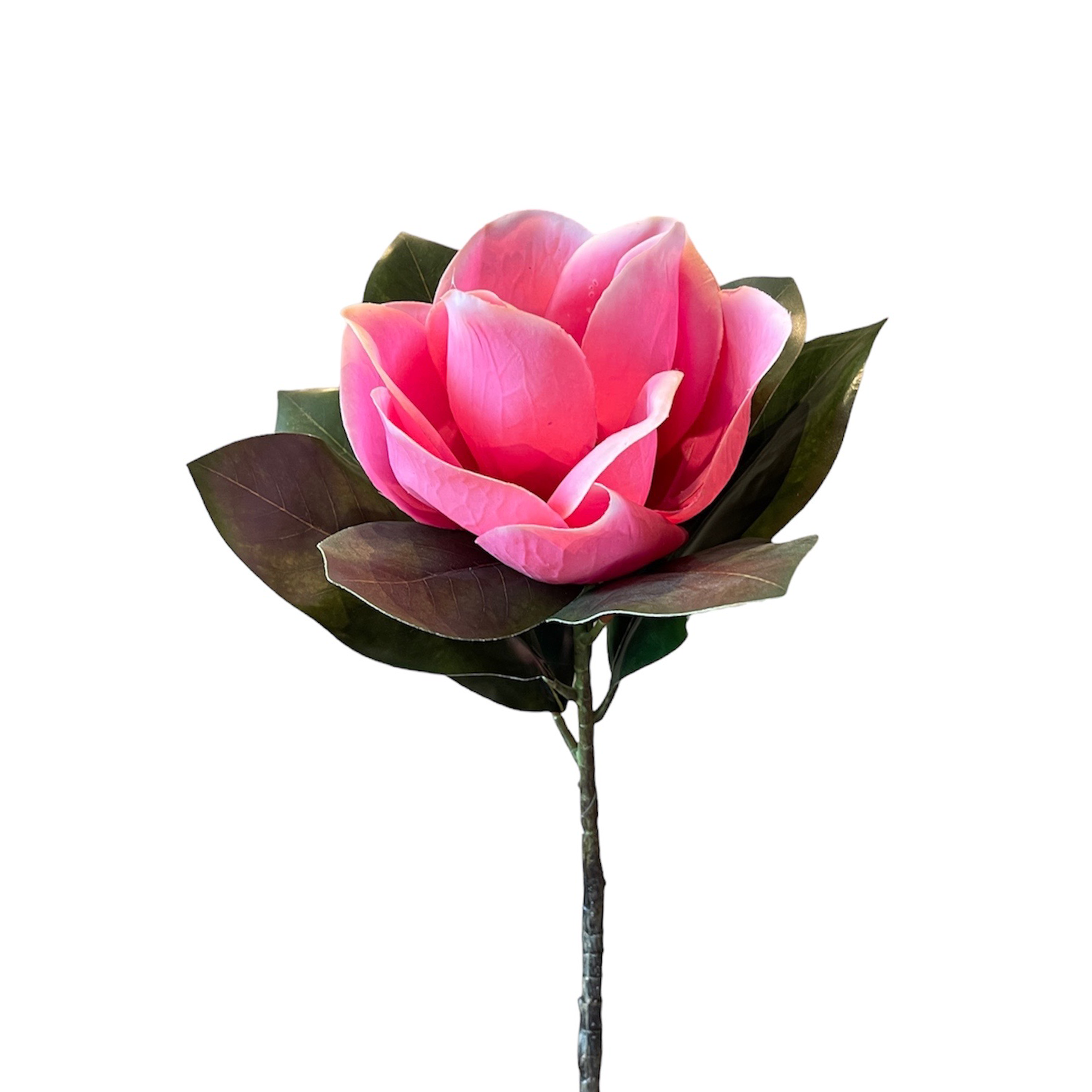 VARA DE MAGNOLIA ROSA