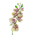 Vara de Orquidea Morado/Verde