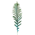 HOJA TIPO PALMA