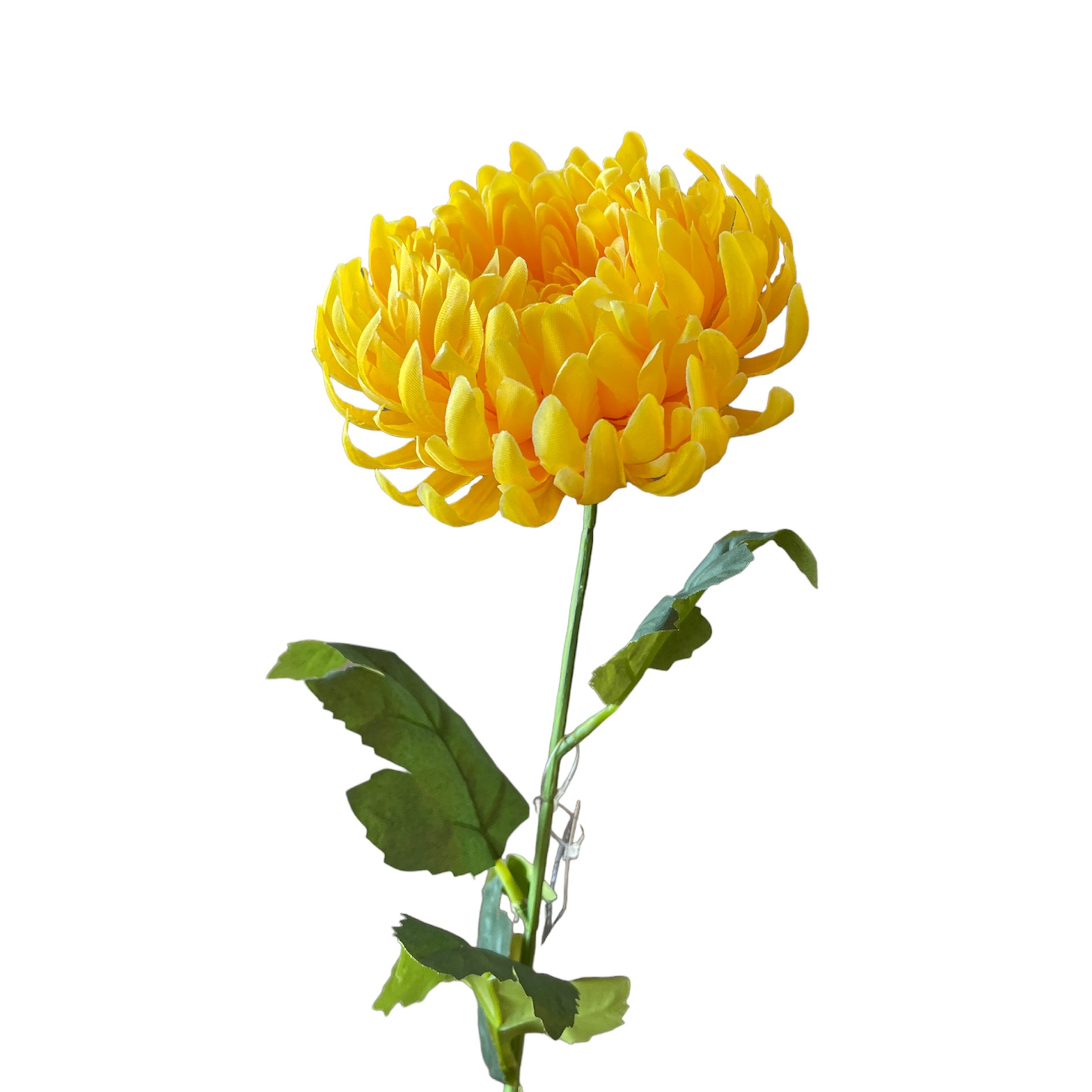 VARA DE CRISANTEMO AMARILLO