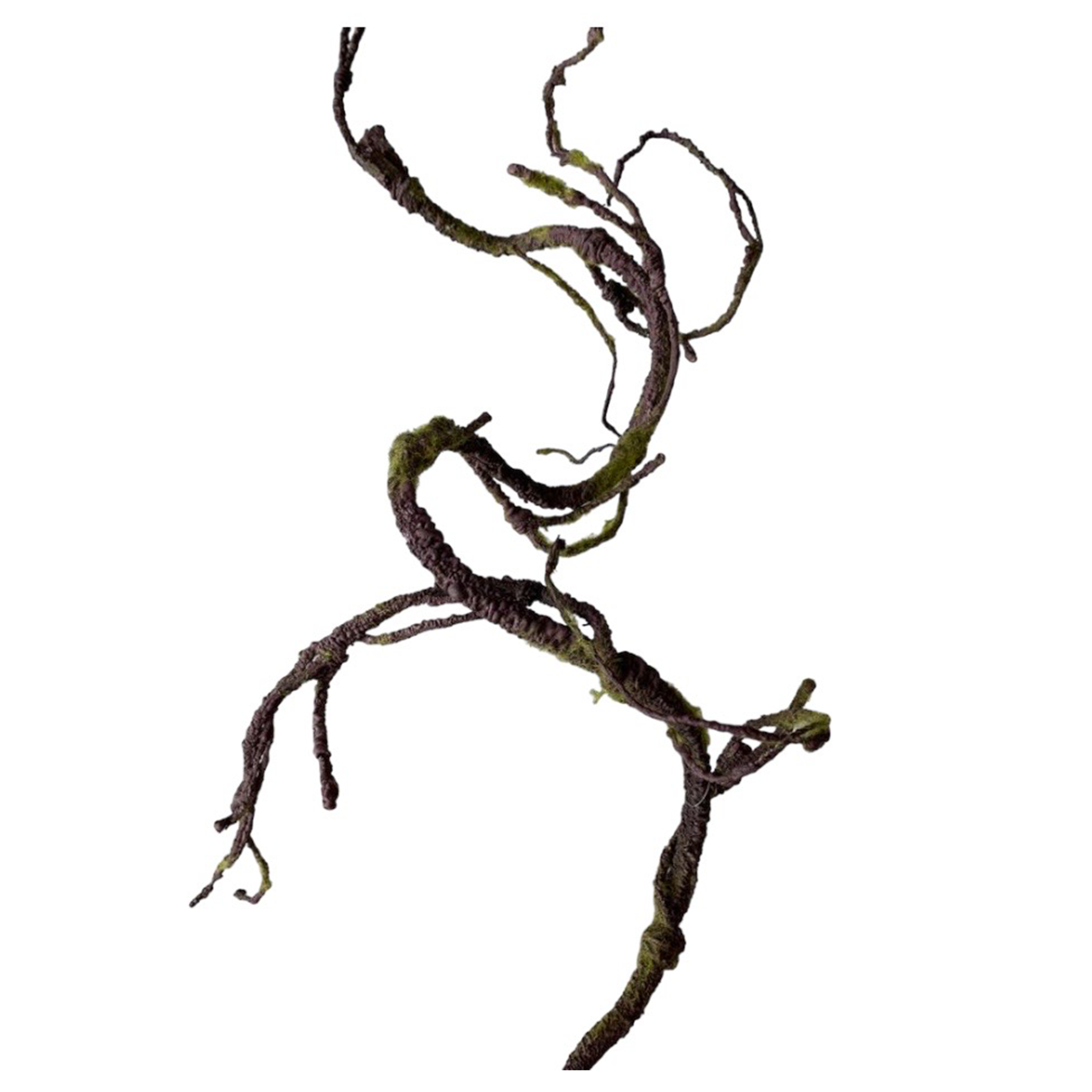 Raiz con Musgo Verde